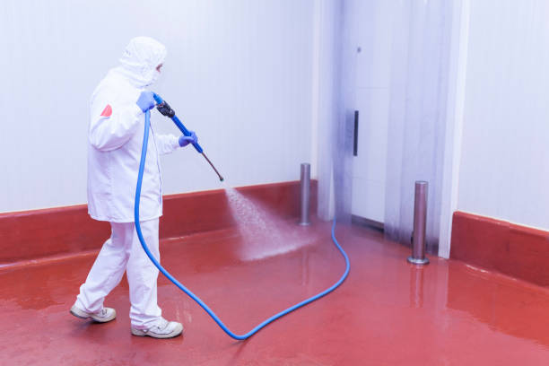 Reliable Walsenburg, CO Pressure Washing Services Solutions